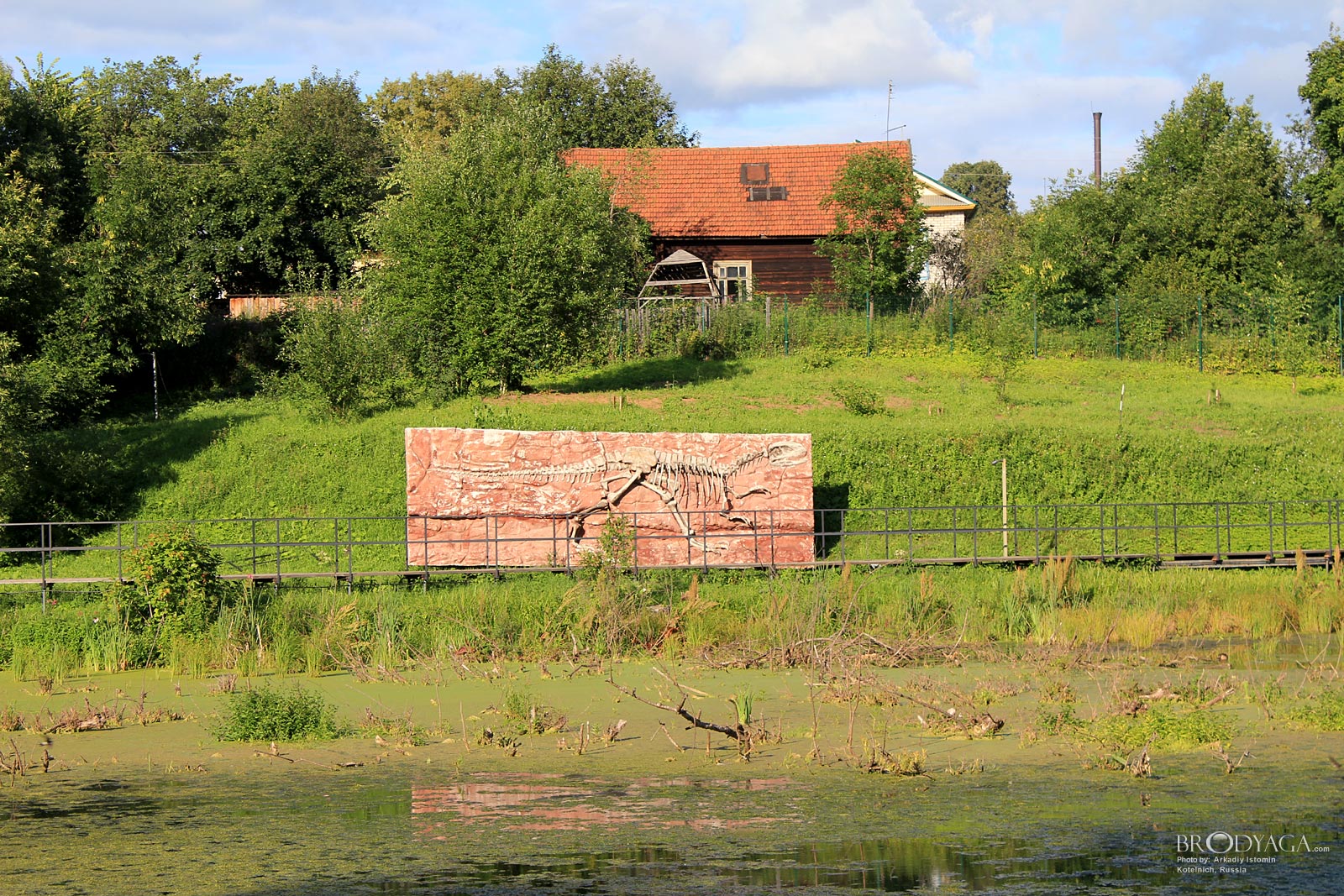 Kotelnich